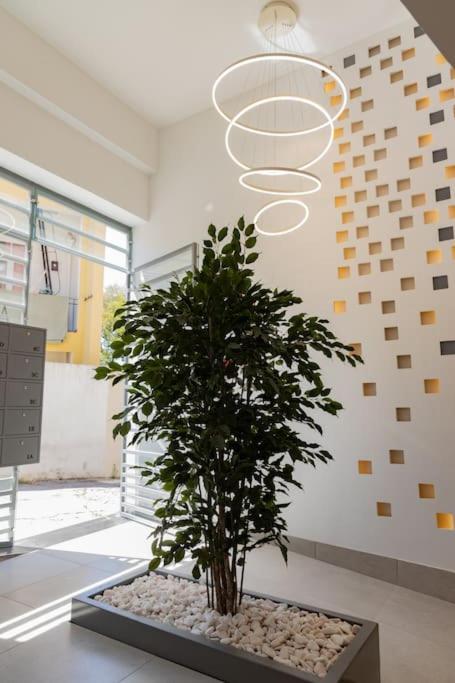Superb Central Lisbon Apartment エクステリア 写真